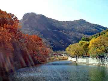 正版澳门天天开彩大全，天涯医院